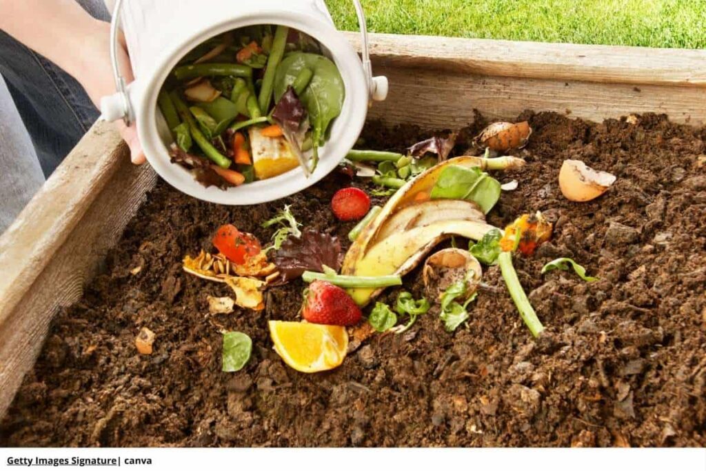 Una persona agregando restos de comida a una pila de compost.
