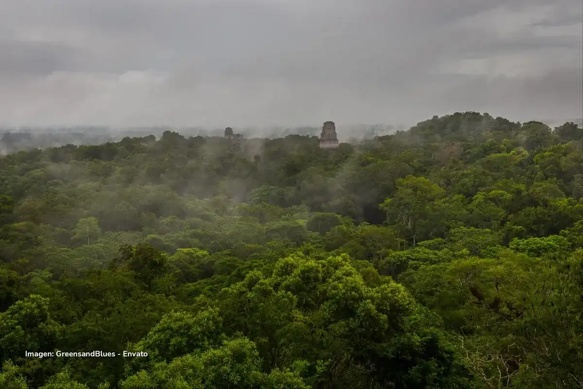 Tikal Tikal