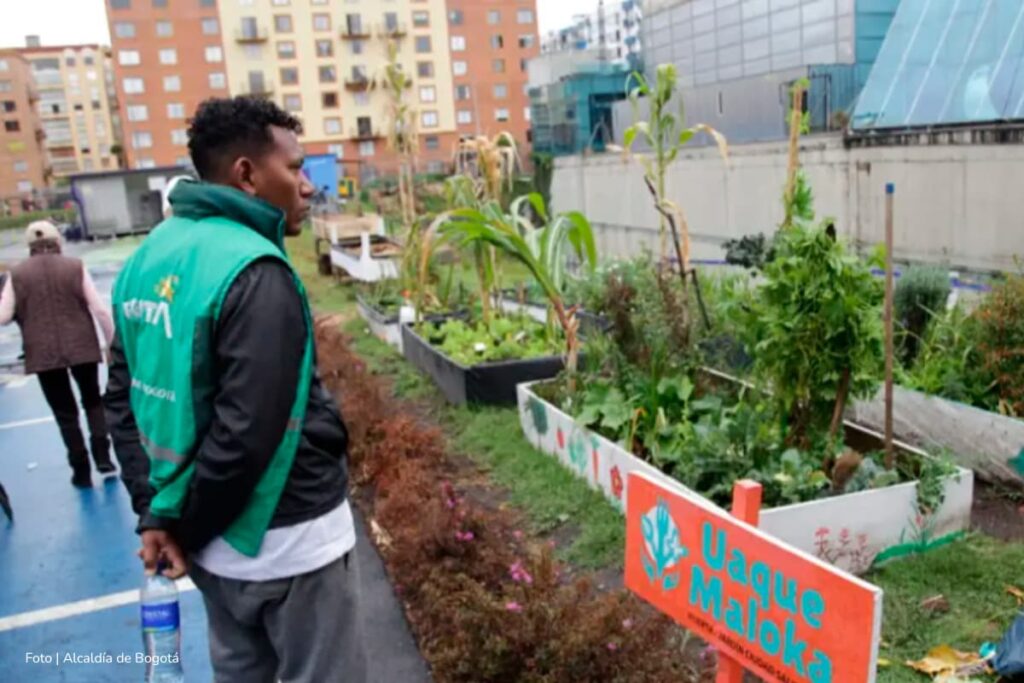 planes culturales en Bogotá, Inscripciones para participar de actividades culturales, Más Estilo de Vida