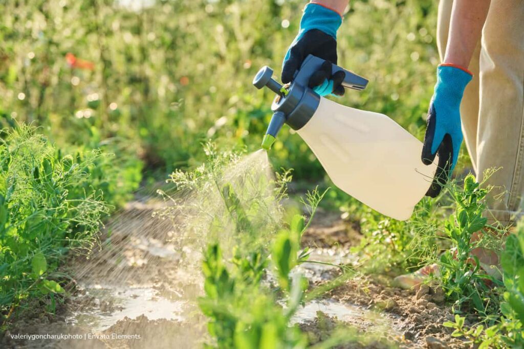 productos tóxicos, pesticidas que afectan la salud, Más Estilo de Vida