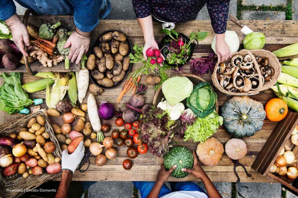 sistema alimentario, cadena de suministro alimentaria, Más Estilo de Vida
