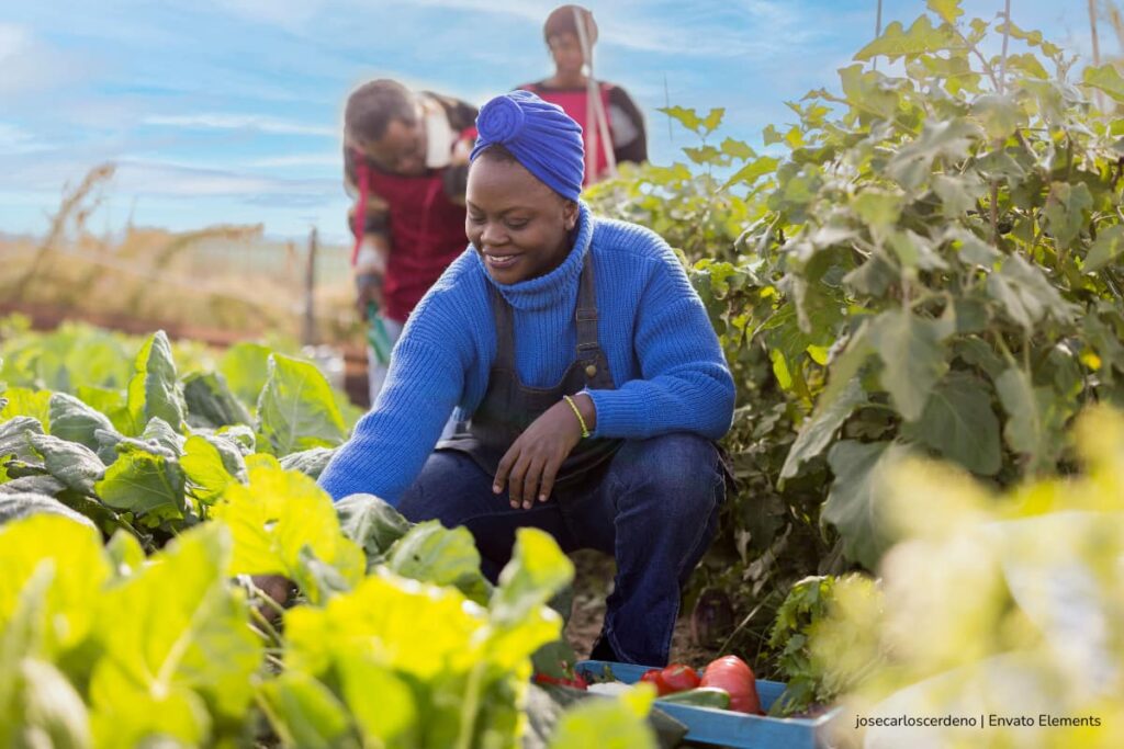 sistema alimentario, producción mundial de alimentos, Más Estilo de Vida